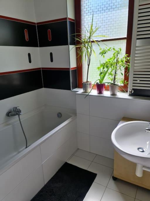 Comfortable Apartment! Прага Екстериор снимка